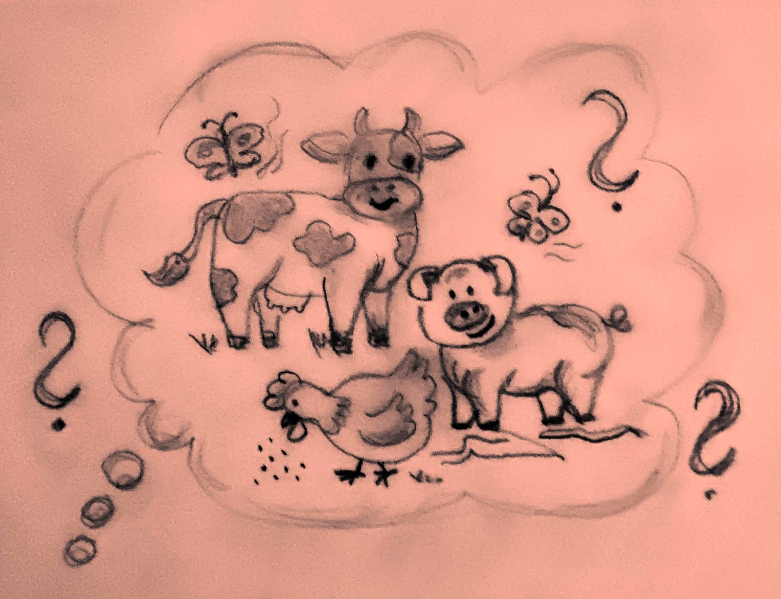 Bild 6 (c) B. Kunz