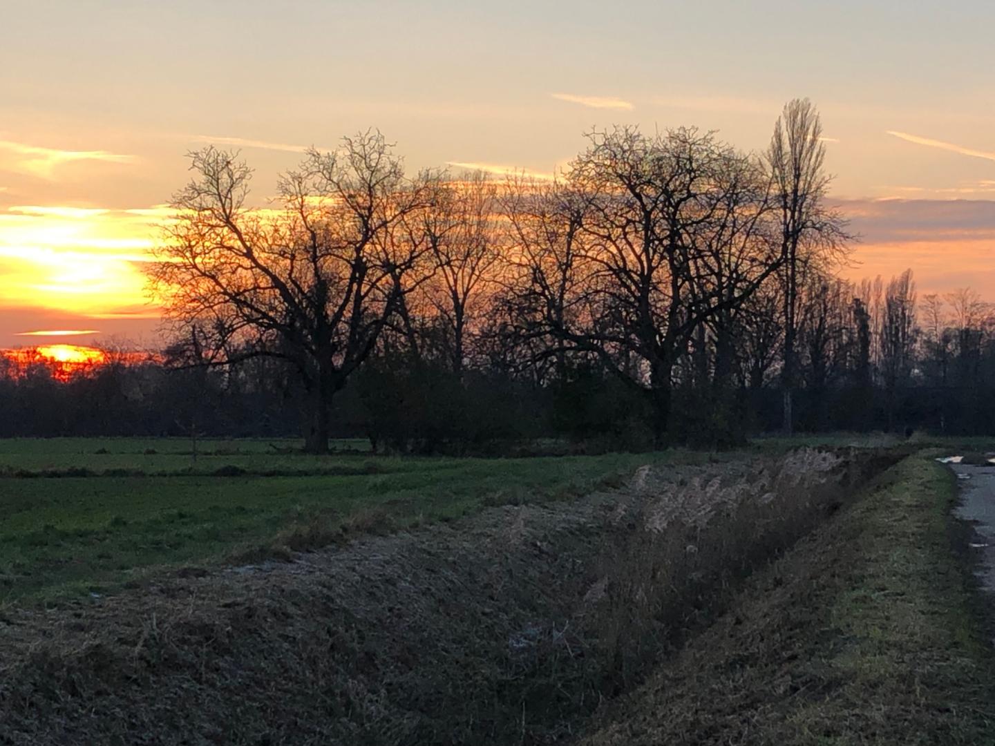 Heppenheim_Sonnenuntergang (c) SSchmidtmeyer