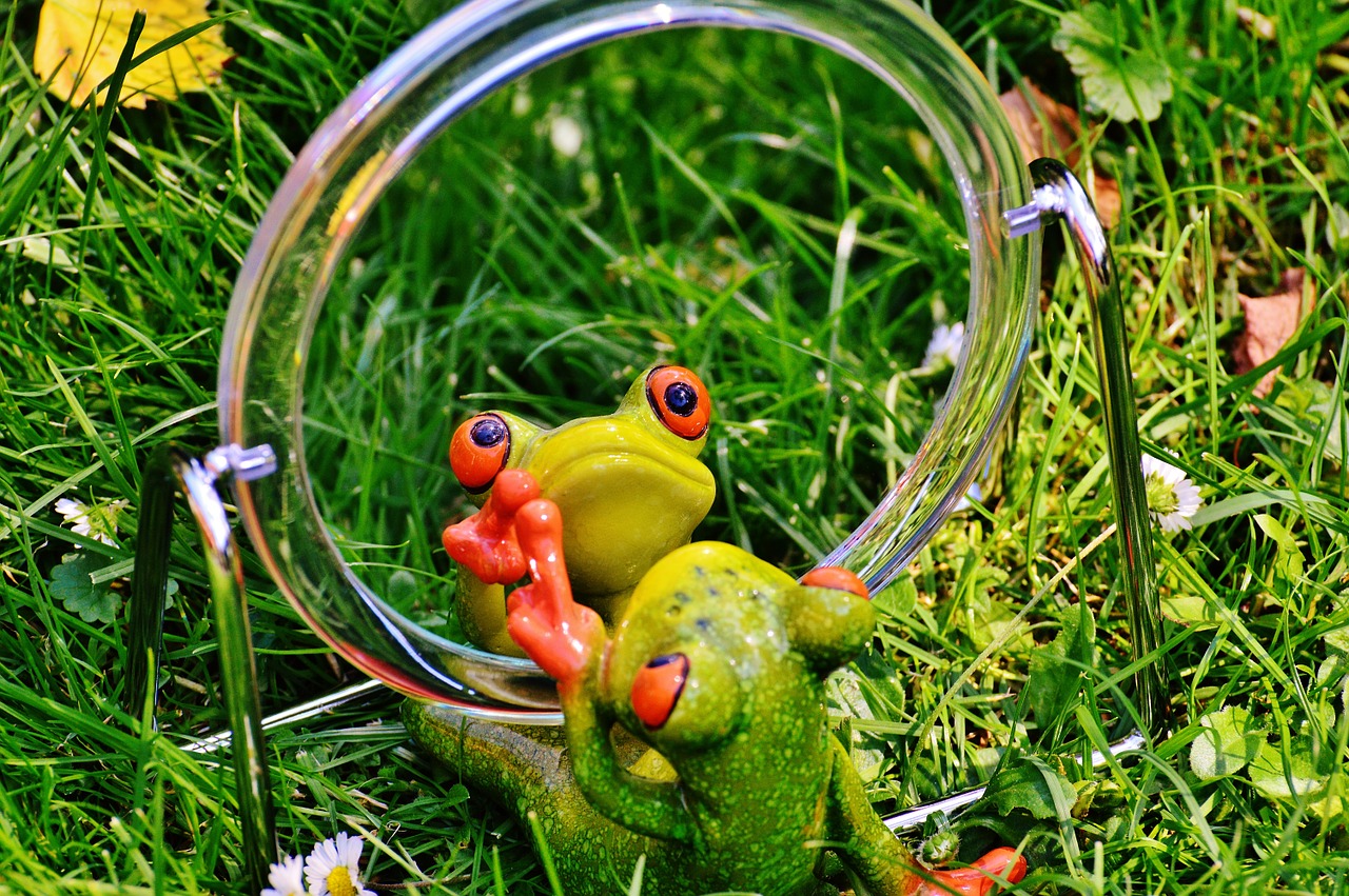 frog-1499067_1280 (c) pi