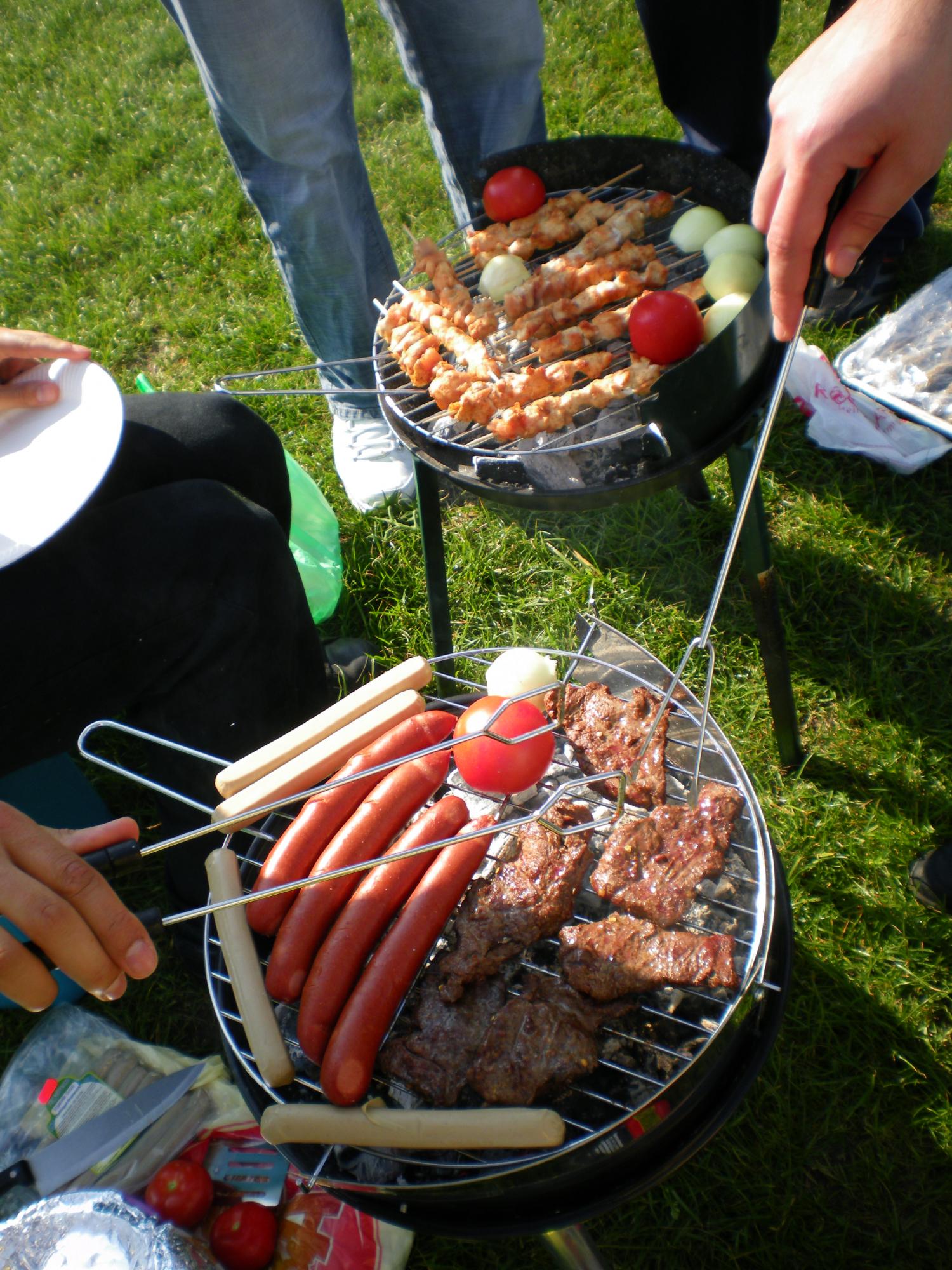 6726_grillen (c) David Hassenforder