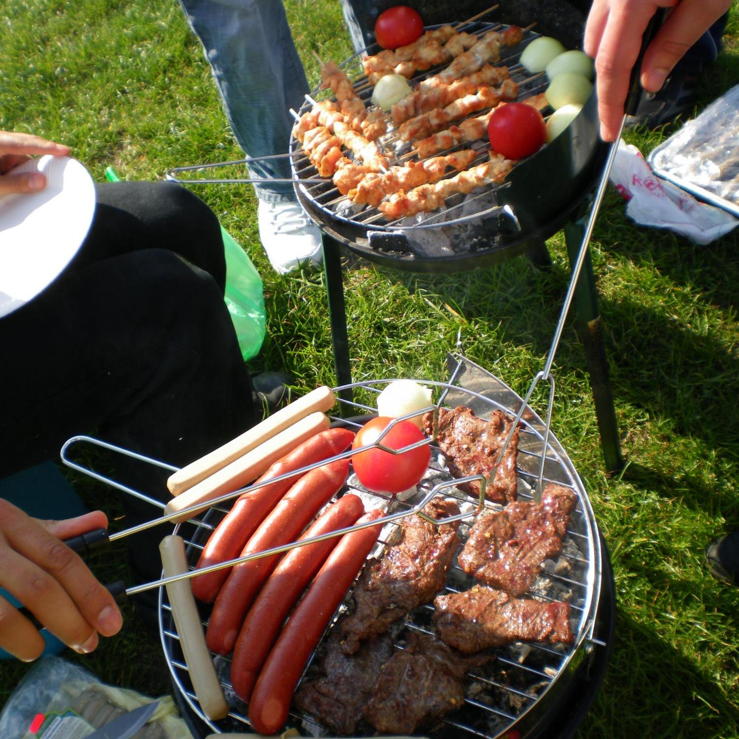 6726_grillen