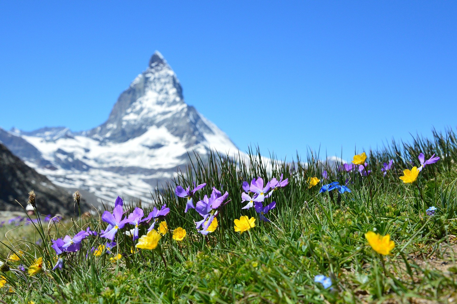 Matterhorn (c) Bild von Claudia Beyli auf Pixabay
