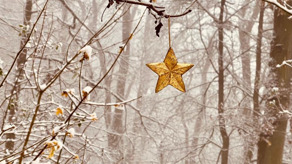 Advent - Ein Stern am Weg