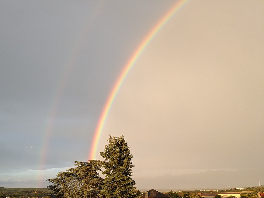 Regenbogen (c) up