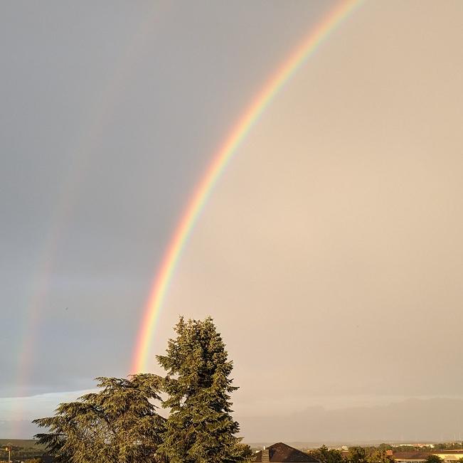 Regenbogen