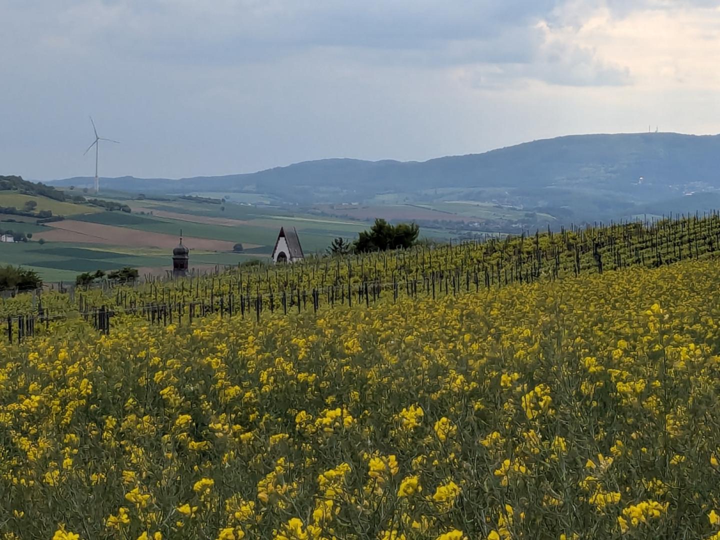 Pilgerweg kurz vor dem Ort Zell im Zellertal (c) up