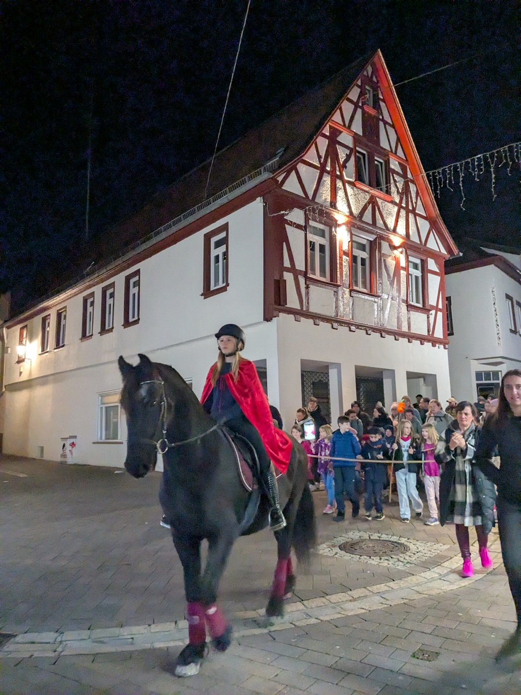 Pferd und Reiter führen den St. Martinszug durch Alzey an (c) up