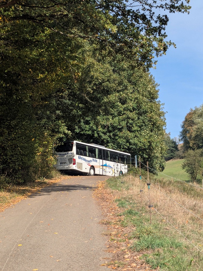 Wallfahrt Maria Rosenberg 2026 (c) up