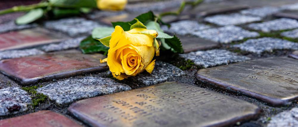 putzaktion-fur-stolpersteine-in-frankfurt (c) xxx