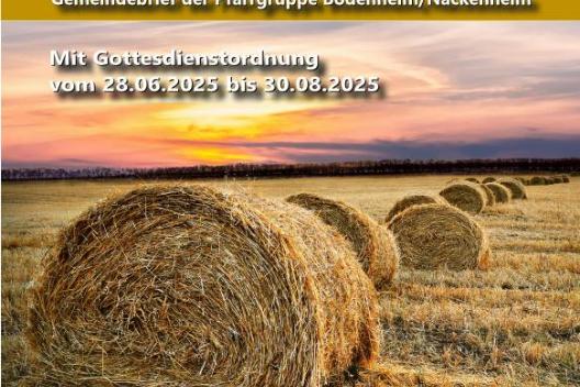 Pfarrbreif Lebenszeichen Juli - August 2025