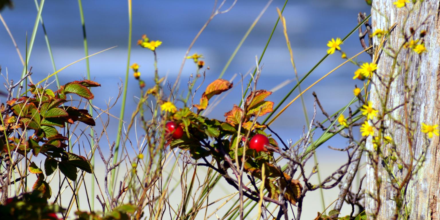 bild-0001-6_by_Winfried_Hollmann_pfarrbriefservice (c) winfried Hollmann