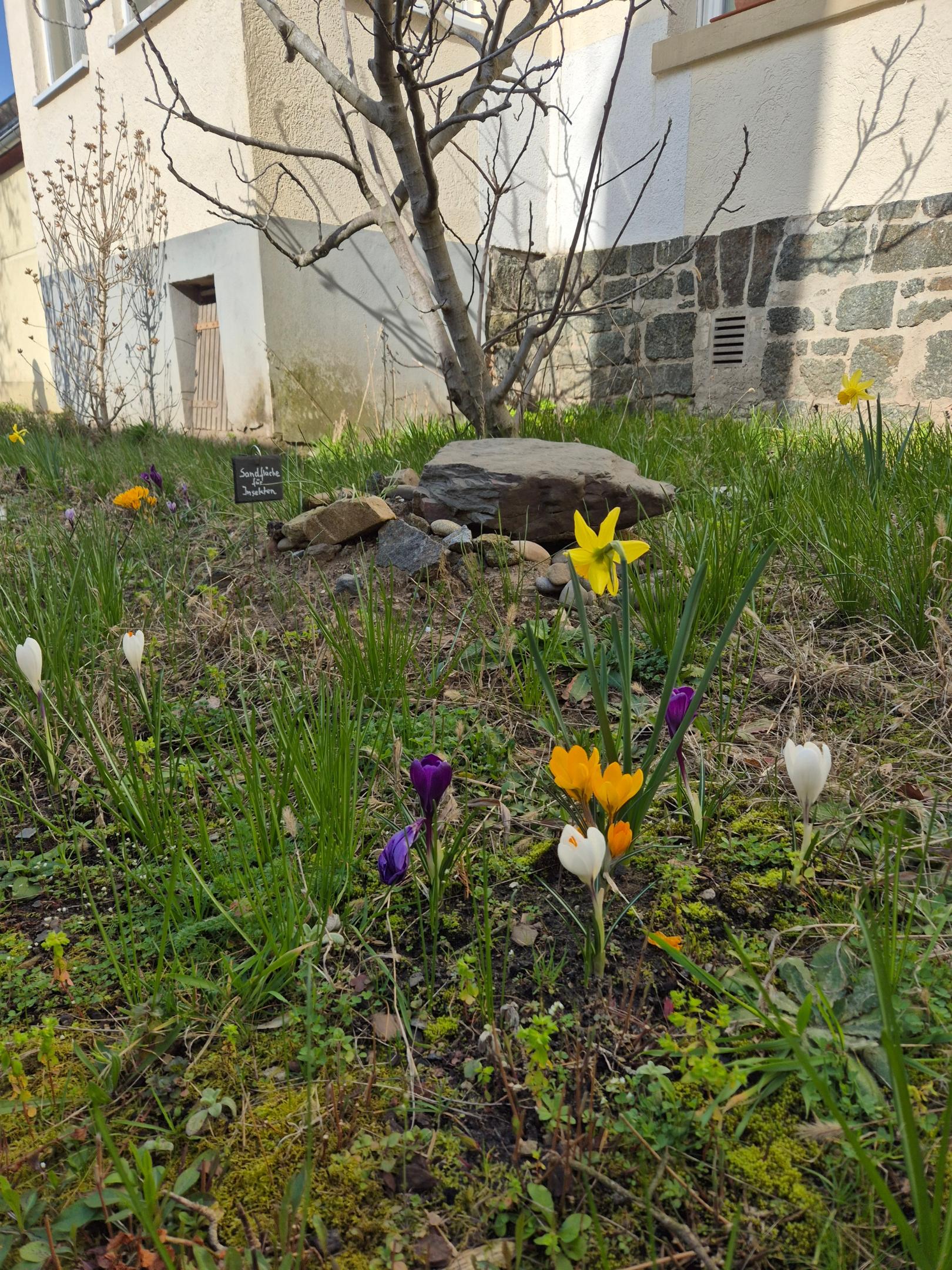 Frühling im Grünen Begegnungsraum (c) Michael Augenstein