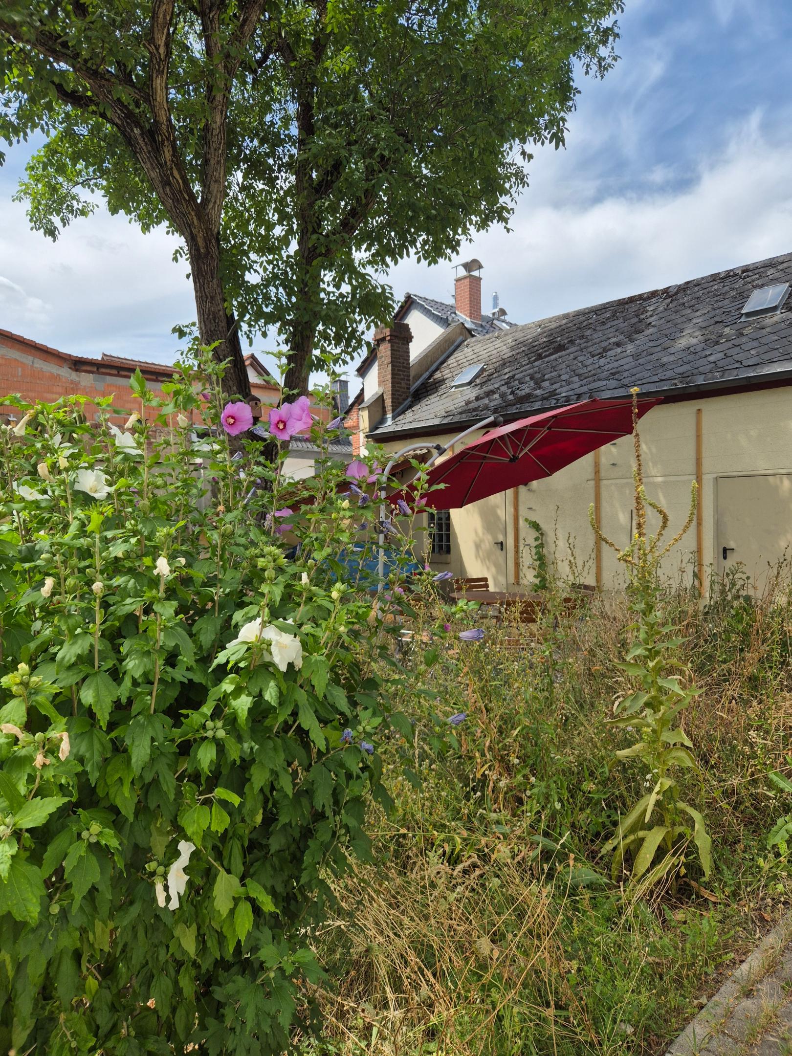 zwischen Pfarrheim und Pfarrhaus: Grüner Begegnungsraum St. Josef (c) Michael Augenstein