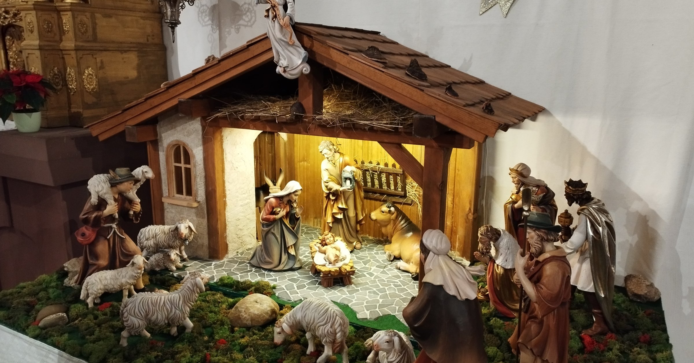 Weihnachtsbaum und Krippe Rimbach Pfarreien Fürth Lindenfels