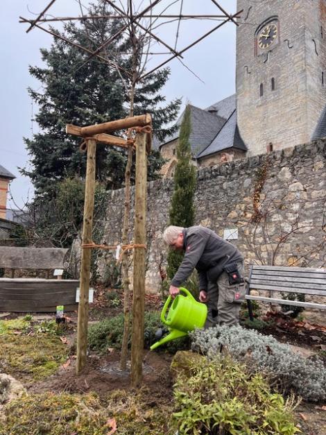 Neuer Inhalts-Abschnitt