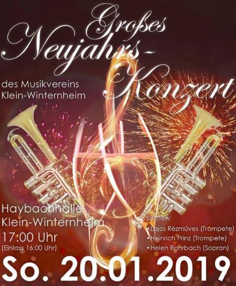 Neujahrskonzert 2019, Musikverein