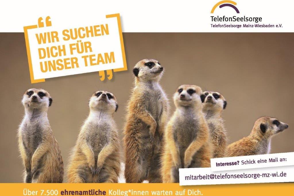 Telefonseelsorge Erdmännchen (c) Telefonseelsorge