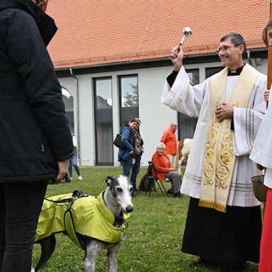 Tiersegnung Welttierschutztag 2024