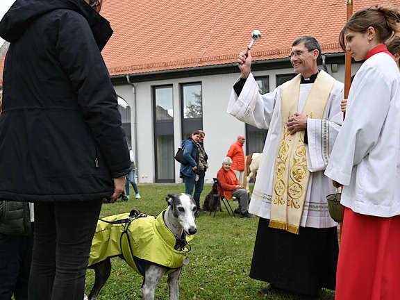 Tiersegnung Welttierschutztag 2024