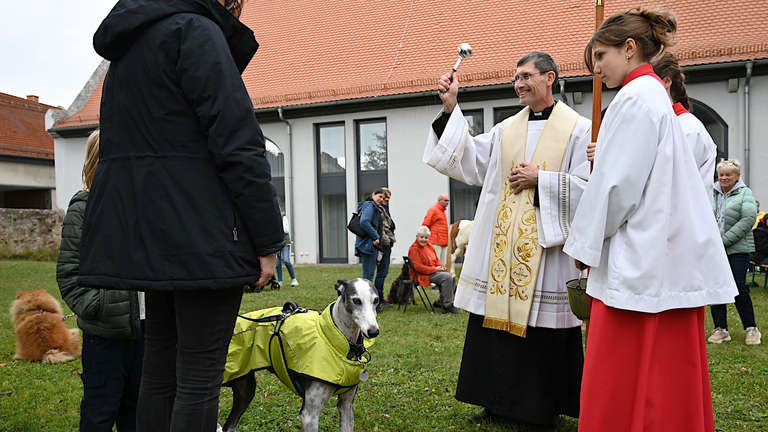 Tiersegnung Welttierschutztag 2024 (c) A. Hausmanns