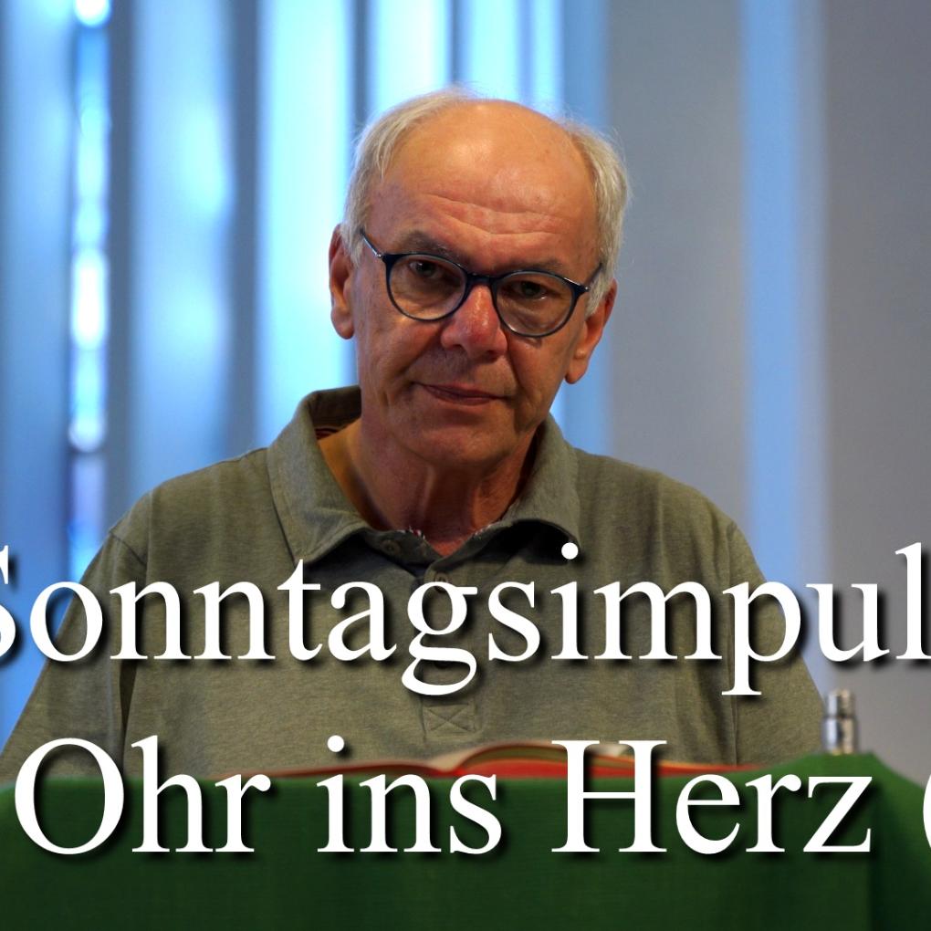251 Wolfgang Sterr