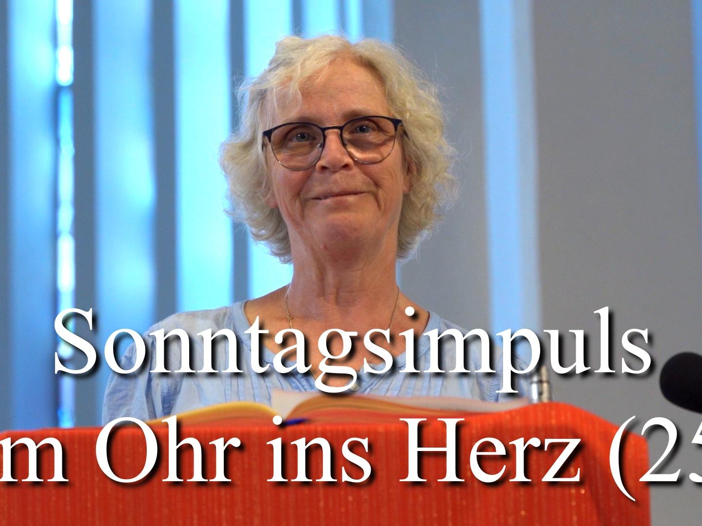 252 Mecki Kaltwasser