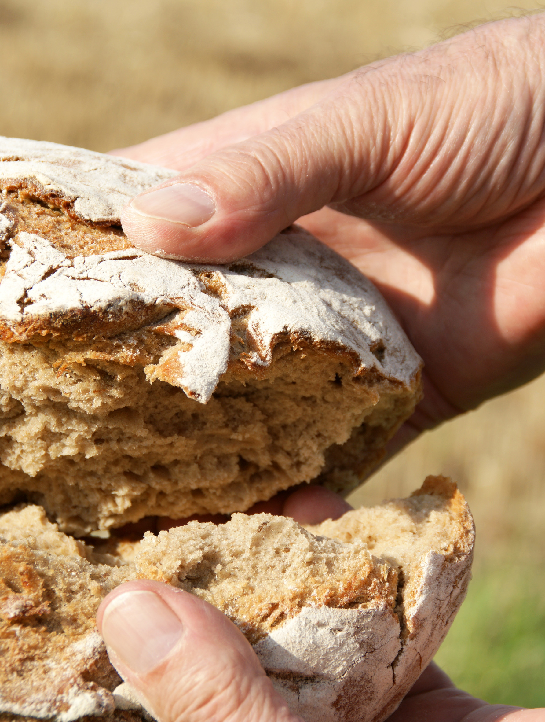 Brot (c) Bild: Martha Gahbauer In: Pfarrbriefservice.de