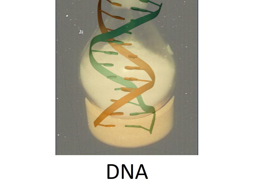 DNA_Titelblatt2