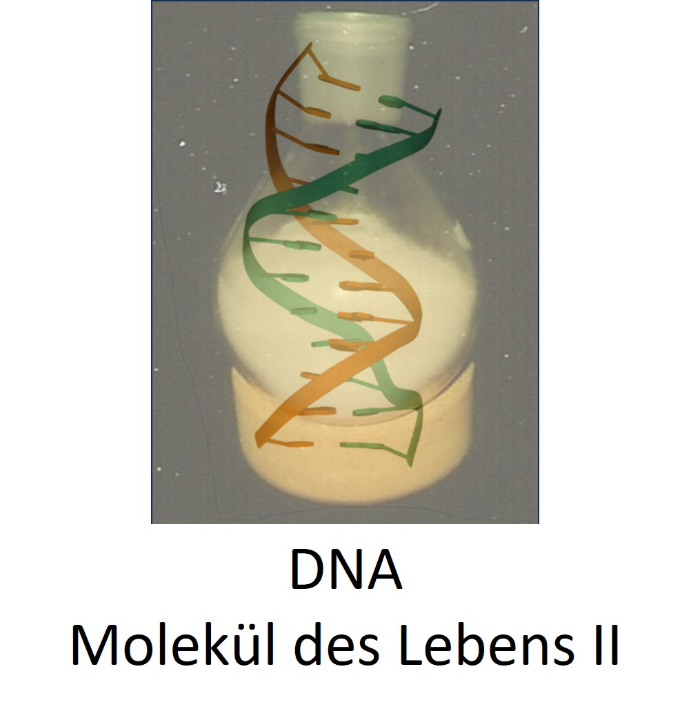 DNA_Titelblatt2 (c) Kerstn Ludwig