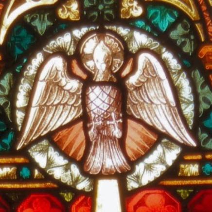 Taube_St. Pankratius_web