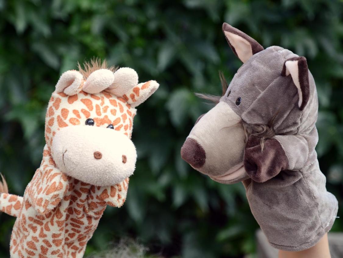 Giraffe und Wolf