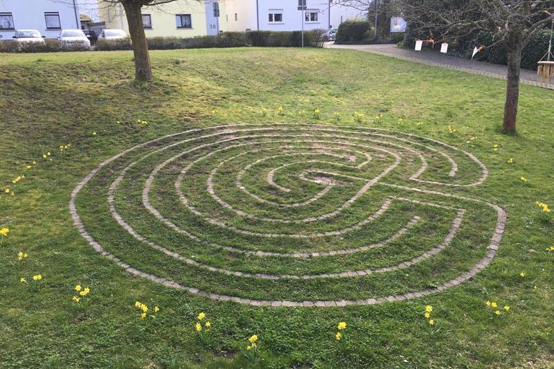 Osterglocken im Labyrinth