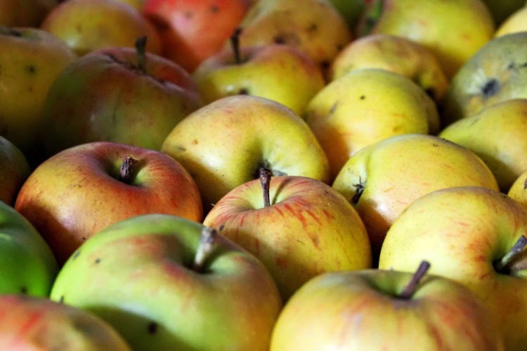 Äpfel (c) Ralf1403 / Pfarrbriefservice.de