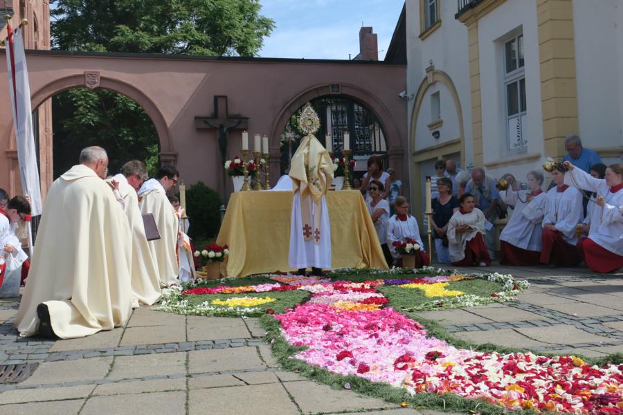Fronleichnam 2018 (c) PG Dom St. Peter und St. Martin