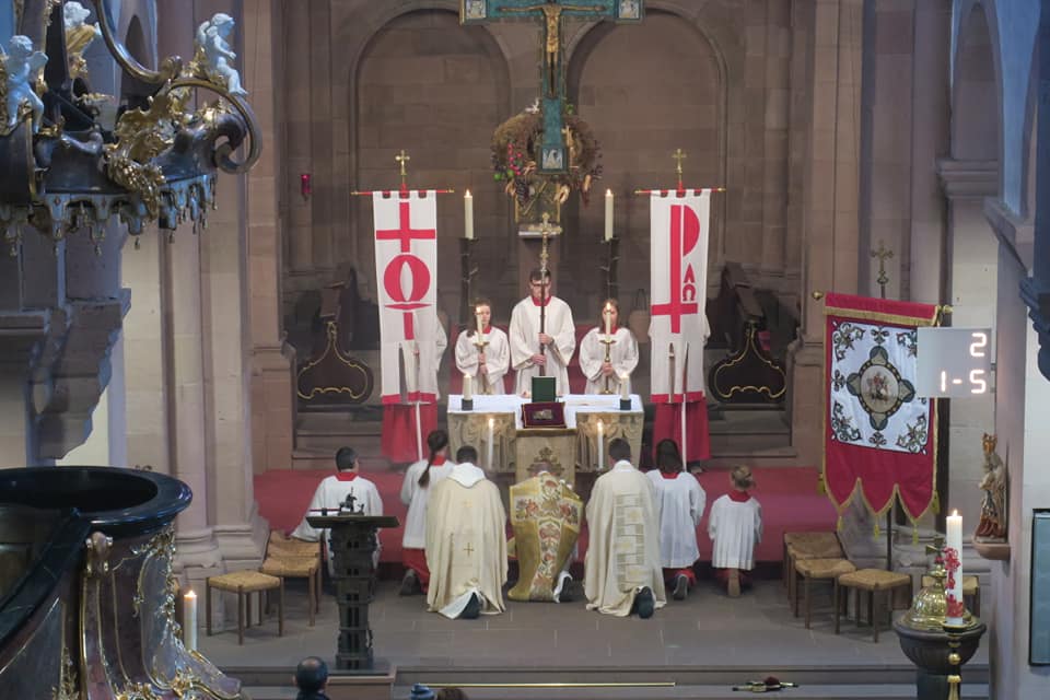 Hochamt Patrozinium St. Martin 2018 (c) PG Dom St. Peter und St. Martin / Martina Bauer