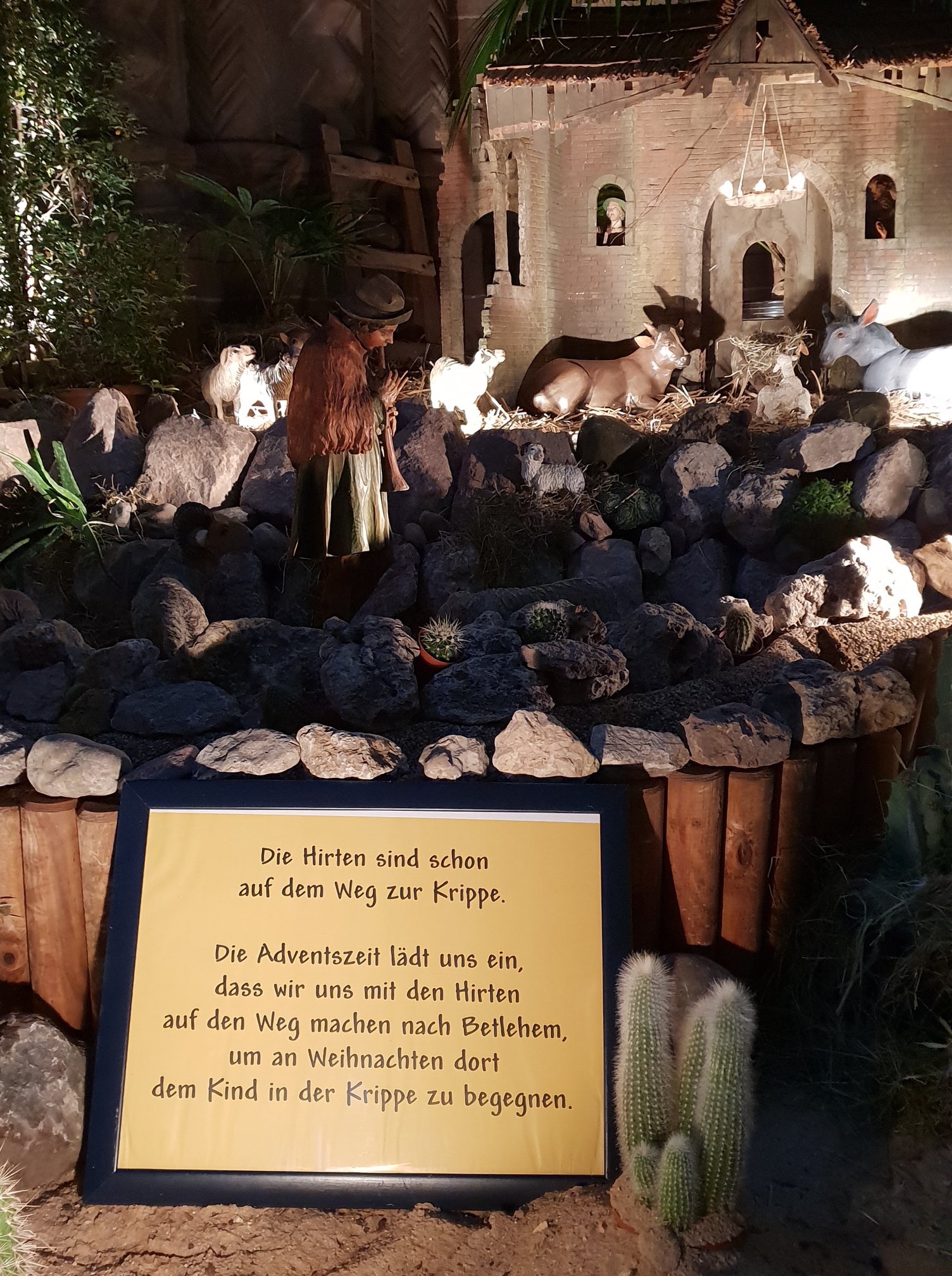 Krippe Dom 2018 (c) Dom St. Peter/Tobias Schäfer
