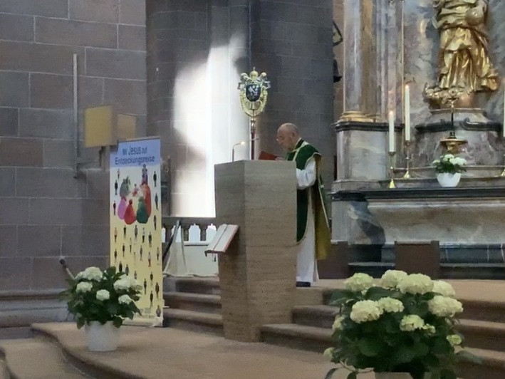 Predigt vom 15. Sonntag im Jahreskreis (c) PG Dom St. Peter und St. Martin / Martina Bauer