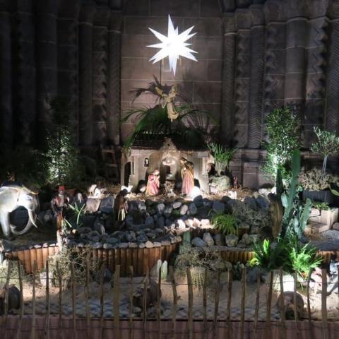 Weihnachten 2018 Hochfest Geburt des Herrn (c) Dom St. Peter / Martina Bauer
