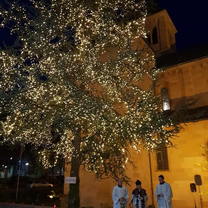 Weihnachtsbaum St. Martin