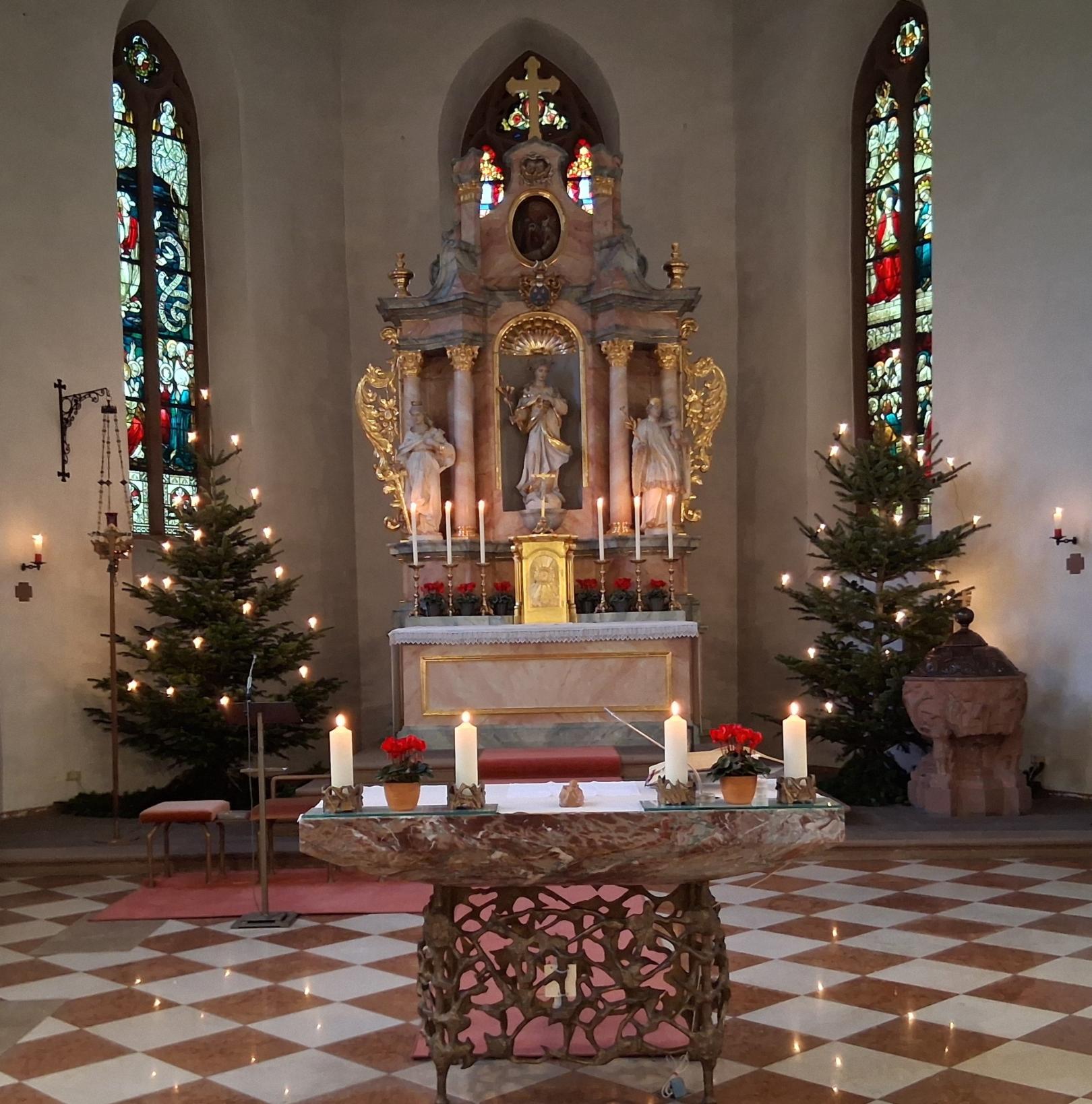 Himmelskron Weihnachsbäume (c) red