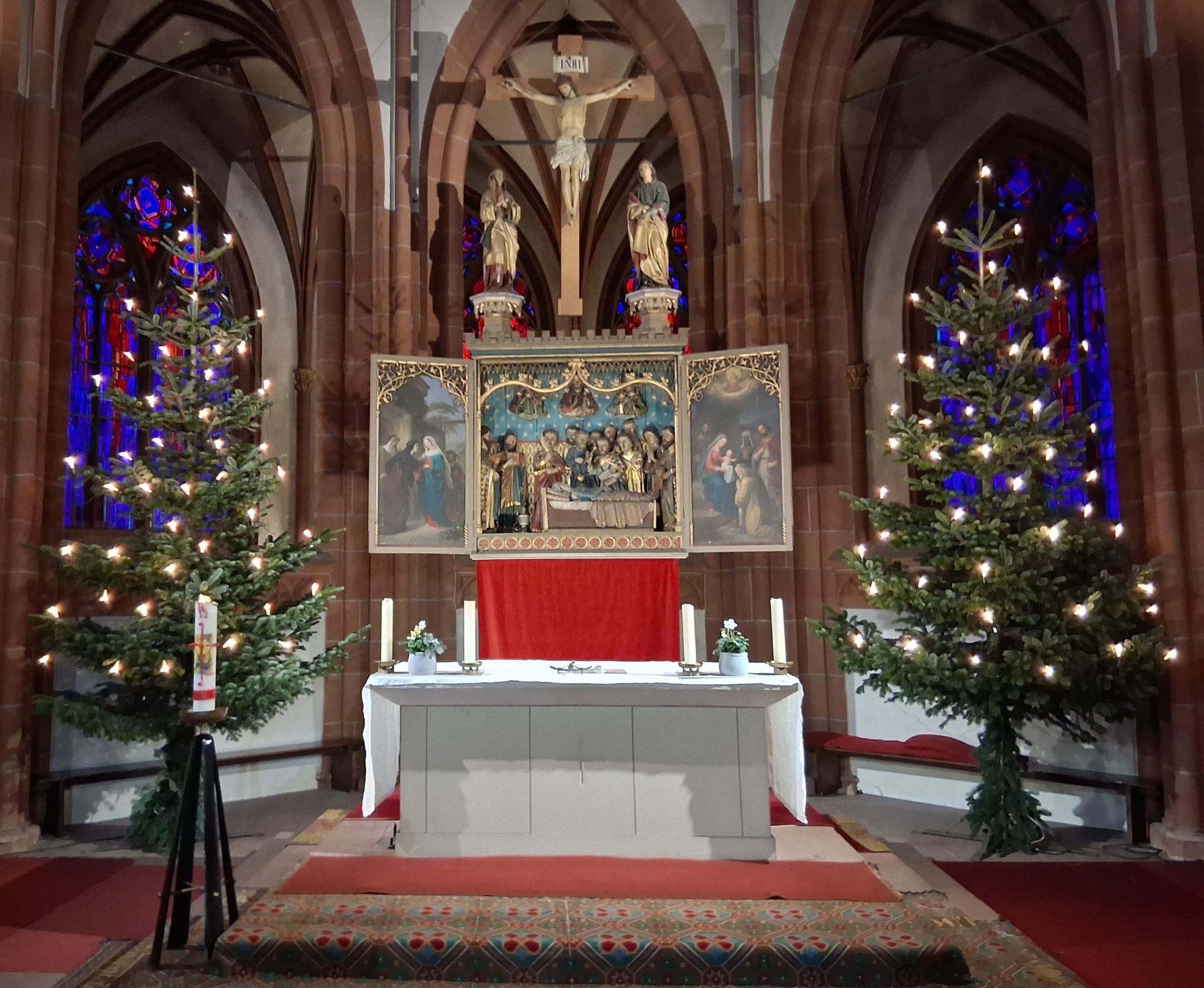 Liebfrauen Christbäume (c) red