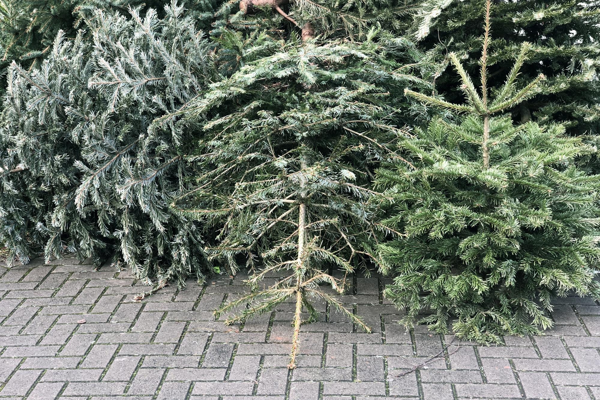 Ende der Weihnachtszeit – früher mal