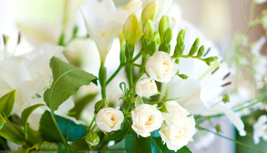 Ein Sonntag der weiß ist? (c) Alex Tihonovstock.adobe.com