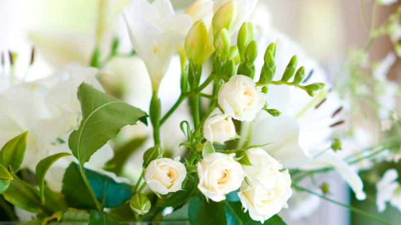 weiße Blumen
