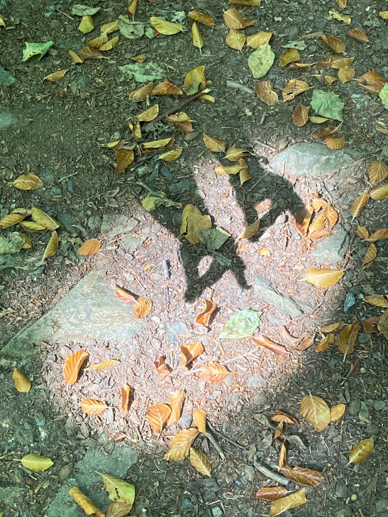 Lichtfleck mit Händen