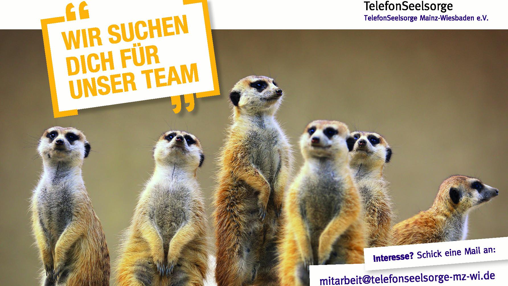 Postkarte Mz-Wi Erdmännchen
