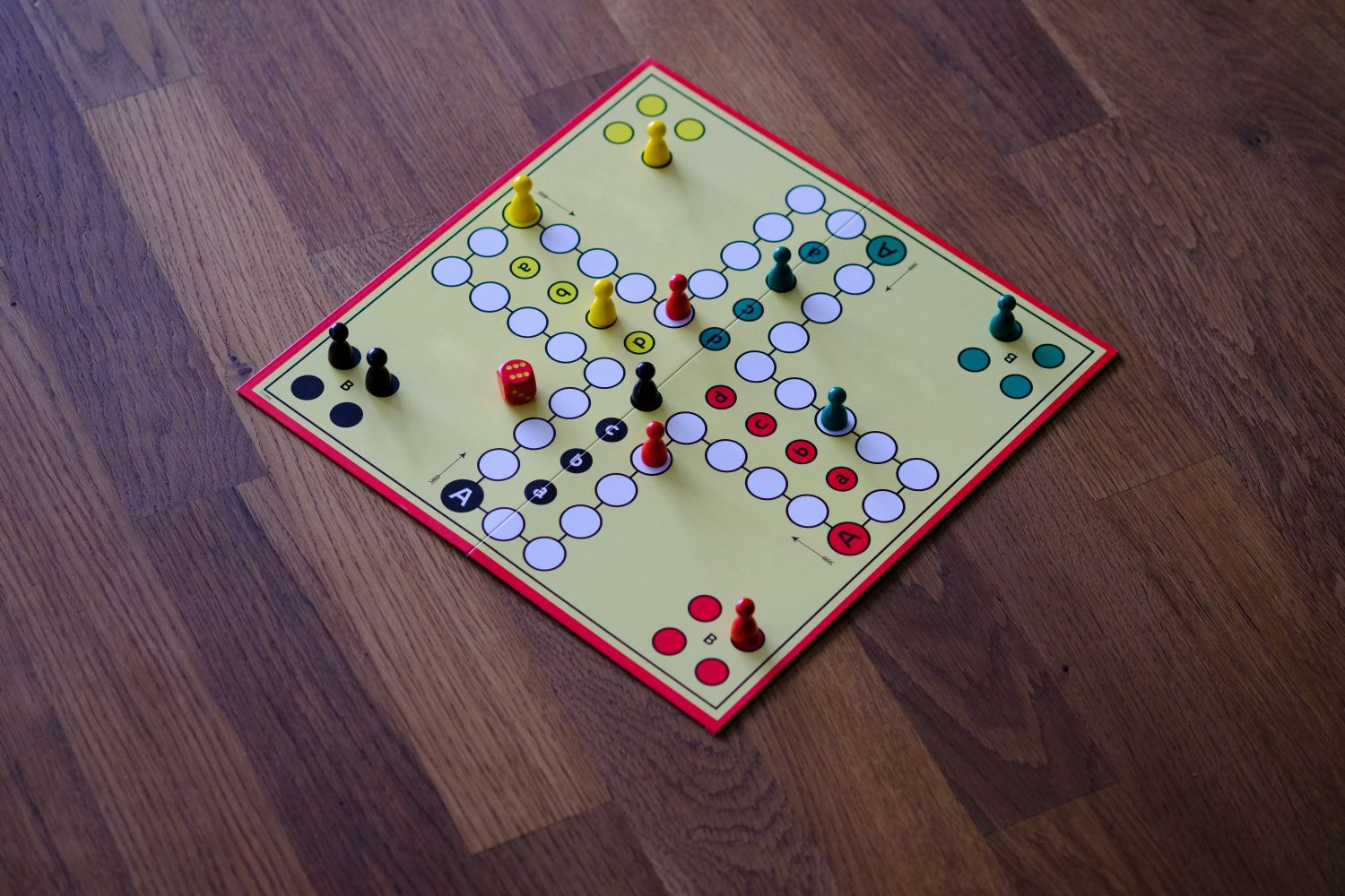 Mensch ärger Dich nicht