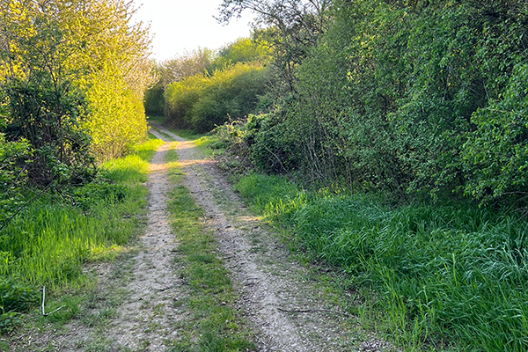 weg