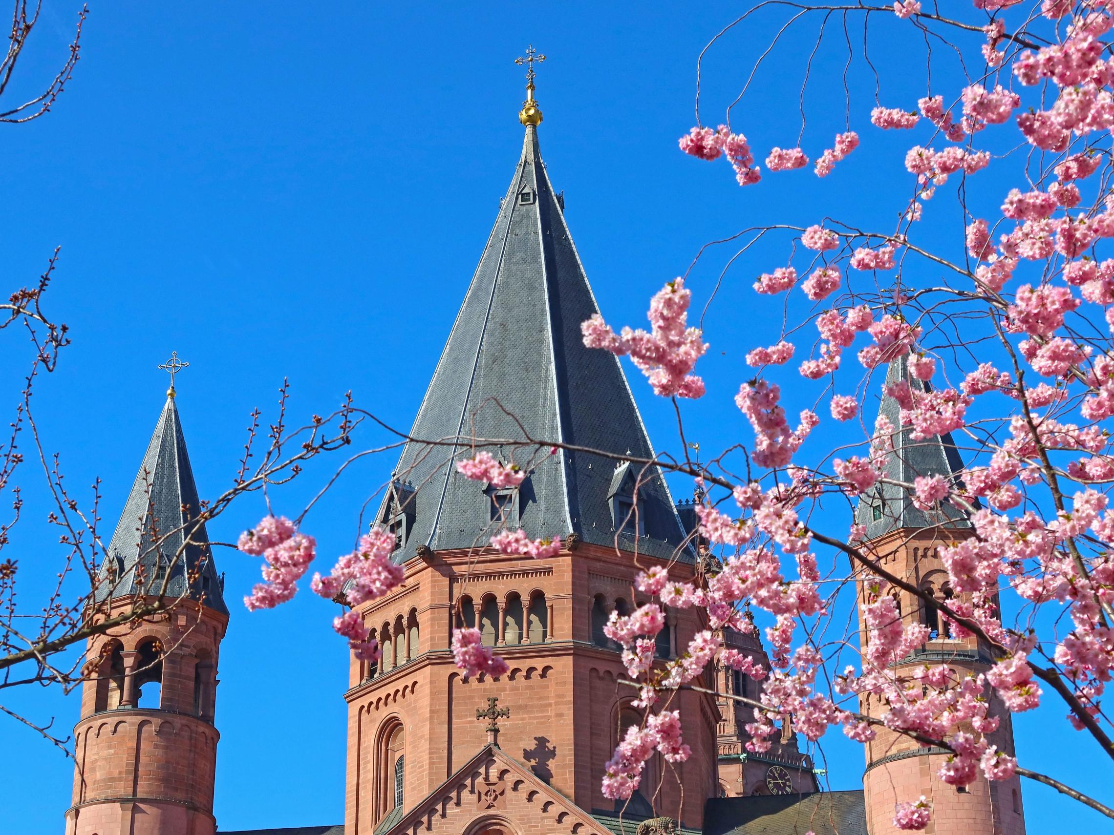 Mainzer Dom Frühling
