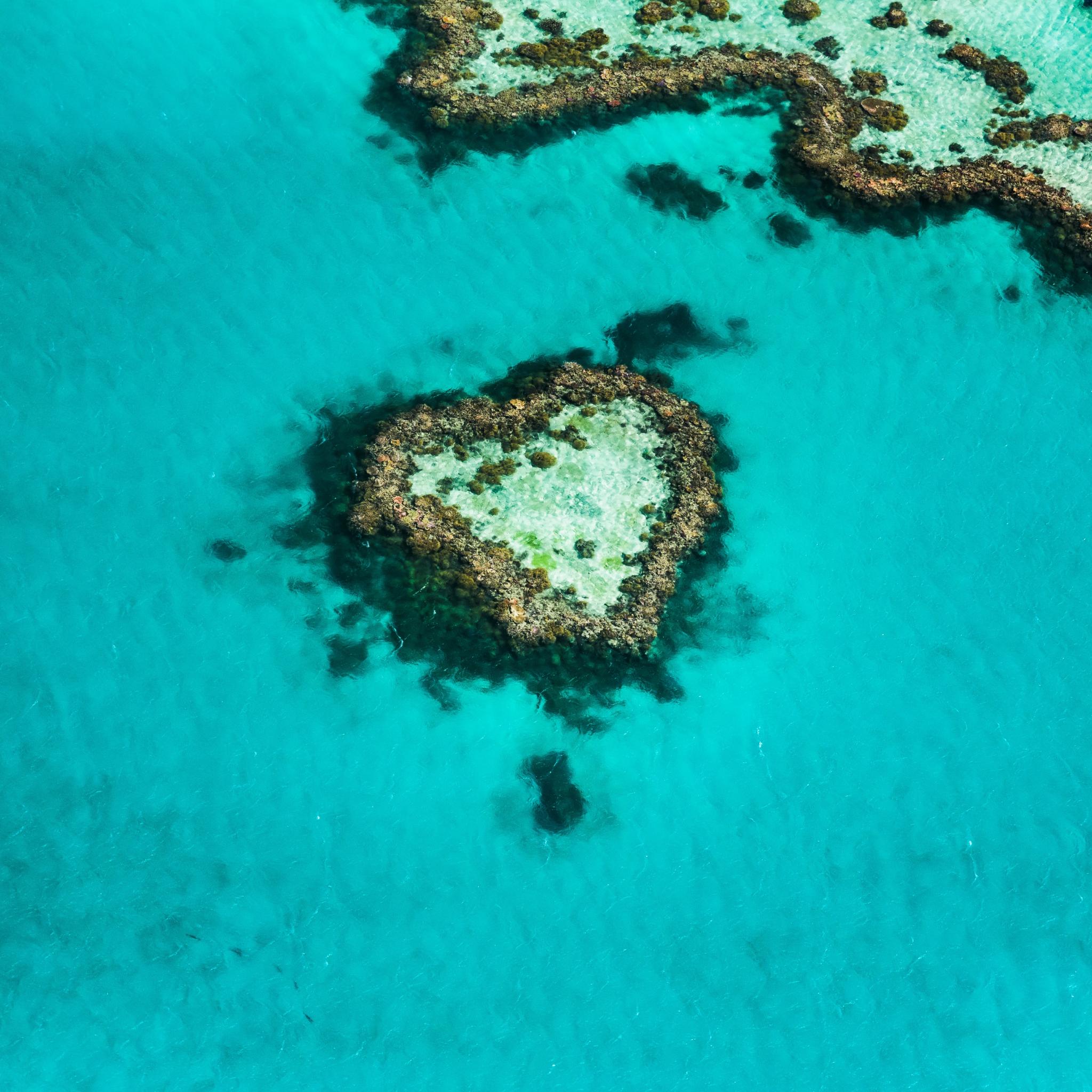 Great Barrier Reef